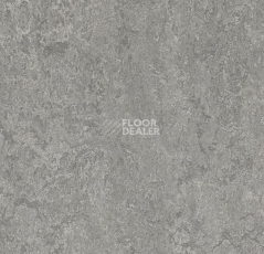 Линолеум Forbo Marmoleum Marbled Real 3146 / 314635 / 73146 Serene Grey фото 1 | FLOORDEALER